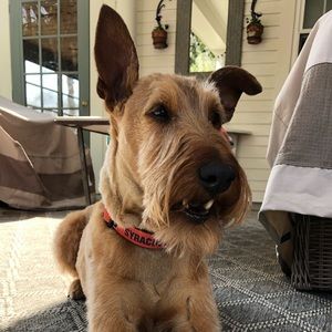 Meet your Posher, Ted